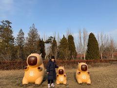 -中家鑫园温泉酒店鑫悦汤泉