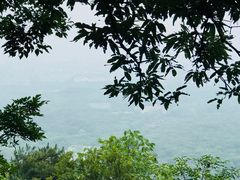 -紫金山索道-售票处