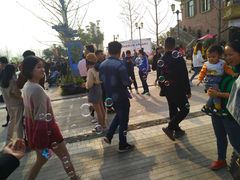 -九龙湖公园