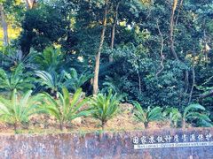 -深圳市中科院仙湖植物园