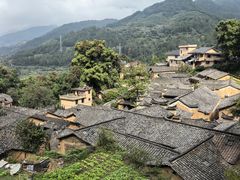-杨家堂村