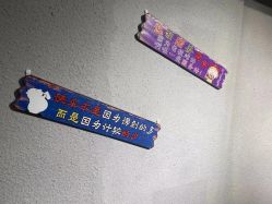 点击看大图 -藤野造型
