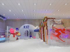 -宁波冰雪大世界(北仑区)
