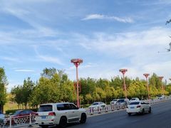 -尔力新疆丸子汤(北屯店)