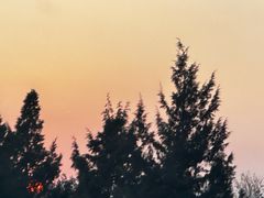 -中关村生命科学园