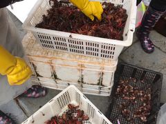 -青石桥市场北1-27号