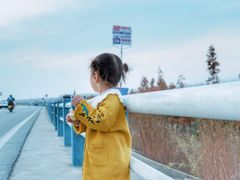 -合肥滨湖国家森林公园