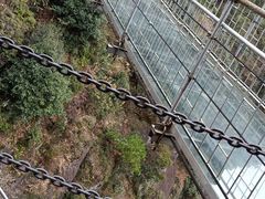 -浏阳石牛寨风景区