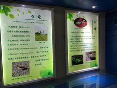 -上海昆虫博物馆