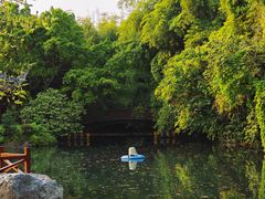 -棠湖公园