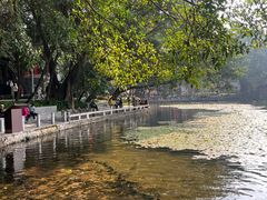 -荔湾湖公园
