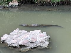 -上海野生动物园
