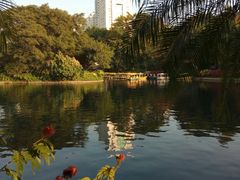 -晓港公园