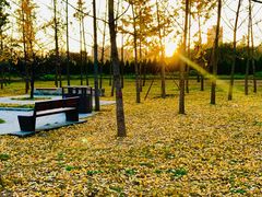 -汉长安城未央宫国家考古遗址公园