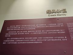 -华山263老字号品牌馆