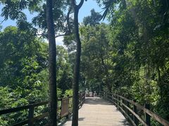 -野象谷景区