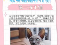 -美联众合动物医院·24h转诊中心