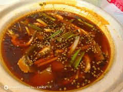 -樽宴酒楼·地道川菜·品质宴请