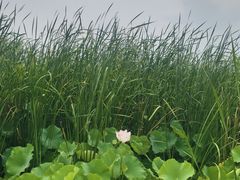 -江苏三台山国家森林公园