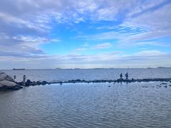 -上海吴淞炮台湾国家湿地公园
