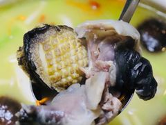 甲鱼生蚝土鸡煲-金龙·打边炉(南京西路店)