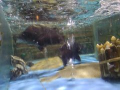 -百丈园(陈村店)