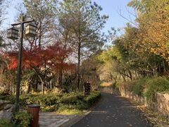-苏州环秀晓筑养生度假村