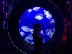 -成都浩海立方海洋公园