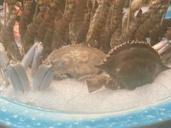 -太古汇海鲜姿造(延寿店)