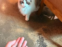 -咖法森林·咖啡  酒吧(天河店)