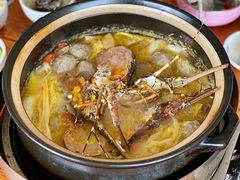 -16年老字号鑫鑫猪肚鸡·椰子鸡海南火锅(兴隆华侨农场店)