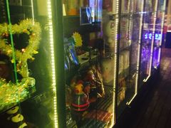 -枫花园汽车电影院(朝阳公园店)