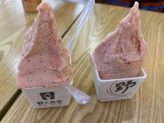 山楂冰淇淋-野人先生Gelato(上海长宁龙之梦店)