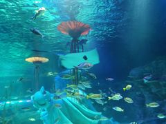 -沈阳海洋探索中心