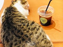 -MQ COFFEE STAND明谦(新洲店)