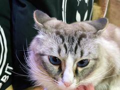 -白兔子密室(长寿路店)