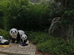 -柳州市动物园