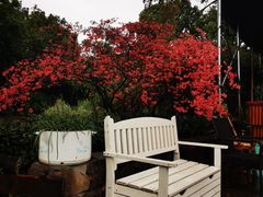 -杭州六谷生态休闲农庄有限公司