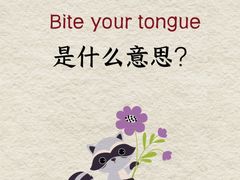 -菠萝国际教育留学·AL·IG·IB·AP·雅思托福(静安校区)