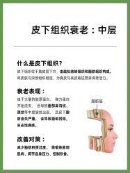 点击看大图 -玛莲朵·海菲秀冰珀科