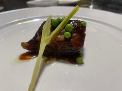 -诺莱仕游艇会