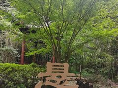 -大慈岩风景区