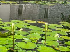 -三亚亚龙湾雅高美爵酒店