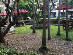 花园-清迈菩提塞雷纳