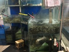 水产区-老虎滩大连海鲜烧烤(建邺云锦路总店)