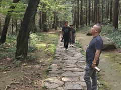 -冶父山国家森林公园