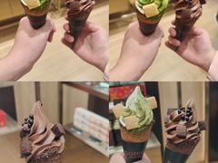 -荷兰花海