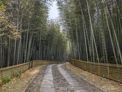 -黄公望隐居地