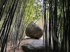 -鲁山国家森林公园