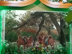 -西北朗益和穆斯林餐厅
